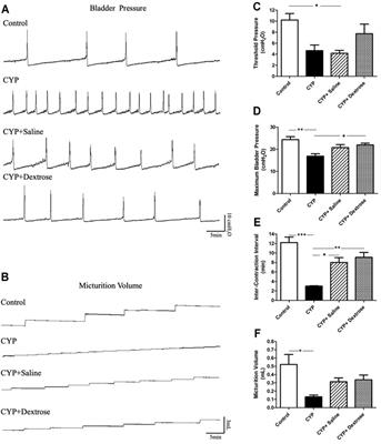 A Novel Intravesical Dextrose Injection Improves Lower Urinary Tract Symptoms on Interstitial Cystitis/Bladder Pain Syndrome